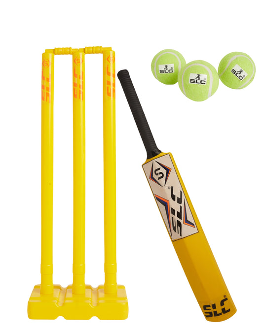 Cricket Set for Home and Turf Play