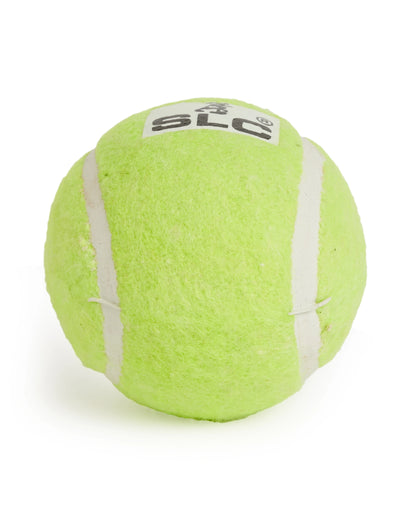 Cricket Tennis Balls (Pack of 12)